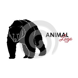 Grizzly bear icon logo symbol vector photo