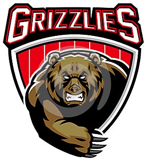 Grizzly bear mascot