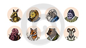 Grizzly Bear, Octopus, t-rex dinosaur, Elephant, Indian cobra snake, Fox with a smoking pipe, lion, Monkey scientist