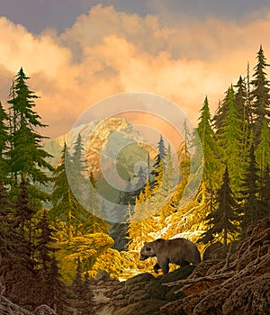 Medveď v skalnatý hory 
