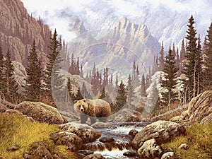 Un orso roccioso montagne 