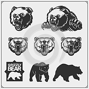 Grizzly bear silhouettes and illustrations. Labels, emblems and design elements for sport club with grizzly bear. Print design for