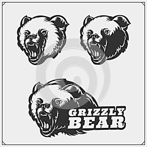Grizzly bear silhouettes and illustrations. Labels, emblems and design elements for sport club with grizzly bear. Print design for