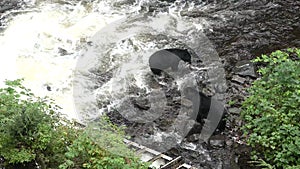 Grizzly bears catch jumping salmon. Close-up. Wildlife and Nature of North America. Mountain river waterfall, Alaska