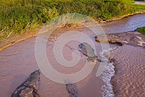 Grizzly brown bear catches salmon in river. Bear hunts spawning