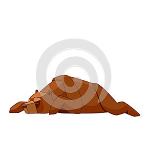 Grizzly brown bear sleeping. Cartoon flat vector illustration isolated on white background