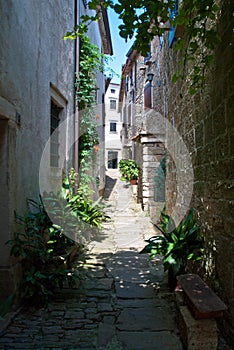 GroÃÂ¾njan, Istria photo