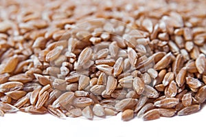 Groats spelt. Background
