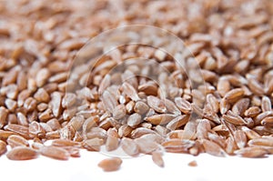 Groats spelt. Background