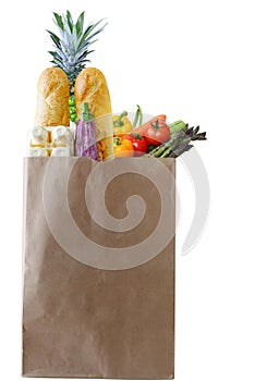 Grocery Bag