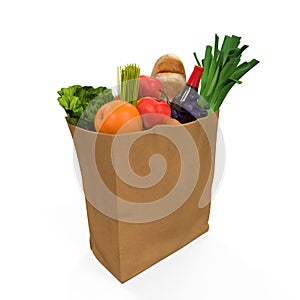 Grocery Bag with Food