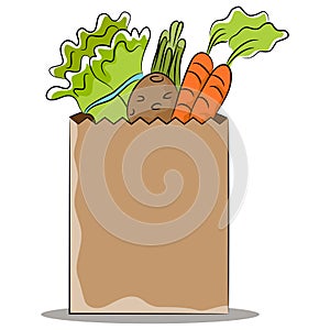 Grocery Bag with Healthy Vegetables photo