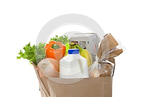 Grocery bag with perishables isolated on white