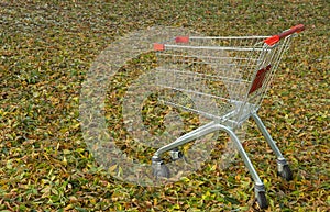 Grocery basket on the street. a supermarket cart sits on the ground covered with fallen leaves