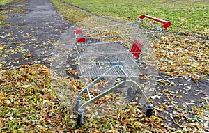 Grocery basket on the street. a supermarket cart sits on the ground covered with fallen leaves. autumn discounts