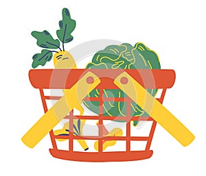 Grocery shopping basket full of fresh vegetables. Natural food, organic vegetable. Cauliflower, radish, mushrooms. Grocery