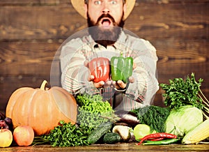 Grocery store. Buy vegetables local farm. Homegrown harvest concept. Typical farmer guy. Farm market harvest festival