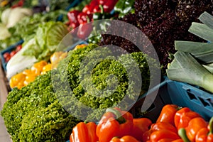 Grocery store - Close-up of vegetable