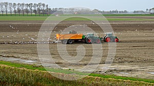 Groninger farmer raises potatoes photo