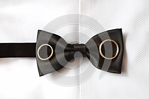 Groom bow-tie closeup with rings