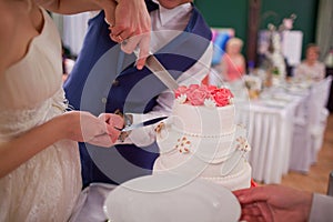 Groom and bride cutting the wedding cake
