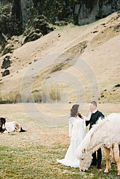 Groom and bride in a pasture among grazing horses