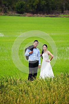 Groom and bride posing in a paddy field