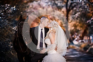 Groom and the bride during walk in their wedding day against a black horse