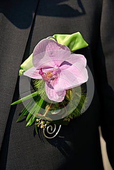 groom with buttonhole rose decoration