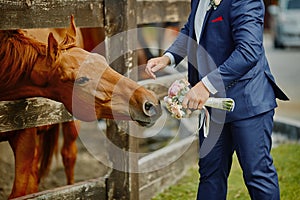 The groom, holding a wedding bouquet in hand, and a horse, who r