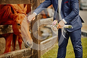 The groom, holding a wedding bouquet in hand, and a horse, who r