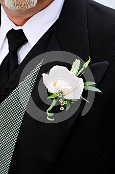 Groom's boutonniï¿½re