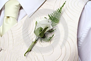 Groom's buttonhole