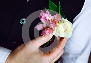 The groom straightens the buttonhole, close-up