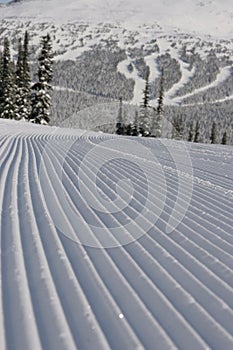 Groomed Ski Run photo