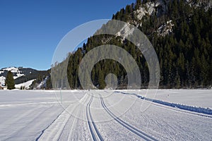 Groomed ski trails for cross-country skiing in winter landscape