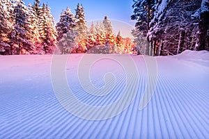 Groomed snow and forest ski slope at dawn