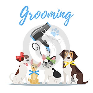 Grooming concept with dogs