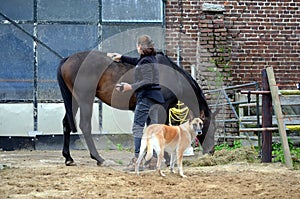 Grooming her horse