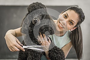 Grooming a little dog in a hair salon for dogs