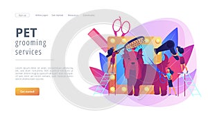 Grooming salon concept landing page