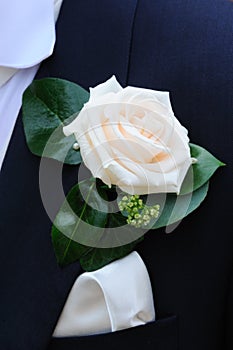 Grooms Buttonhole flower.