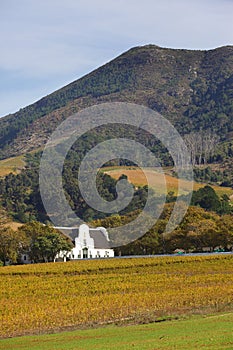 Groot Constantia