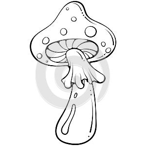 Groovy hippie fly agaric mushroom line art