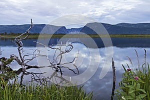 Gros Morne Pond Reflections photo