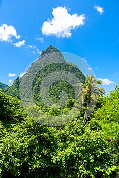 Gros and Petit Pitons near village Soufriere on Caribbean island St Lucia - tropical and paradise landscape scenery on Saint Lucia