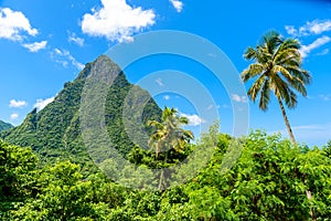 Gros and Petit Pitons near village Soufriere on Caribbean island St Lucia - tropical and paradise landscape scenery on Saint Lucia