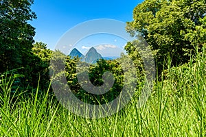 Gros and Petit Pitons near village Soufriere on Caribbean island St Lucia - tropical and paradise landscape scenery on Saint Lucia