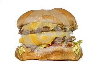 Gross fatty burger