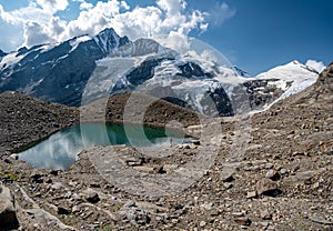 Grossglockner mountain lake rocks and yellow flowers in the foreground in the Austrian Alps in the Hohe Tauern mountains